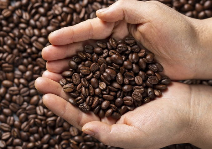 Blog Camino del cafe