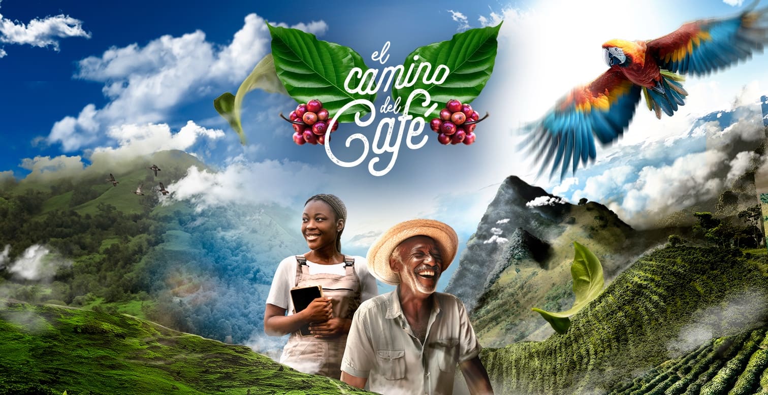 El Camino del Café con Nitrosoil
